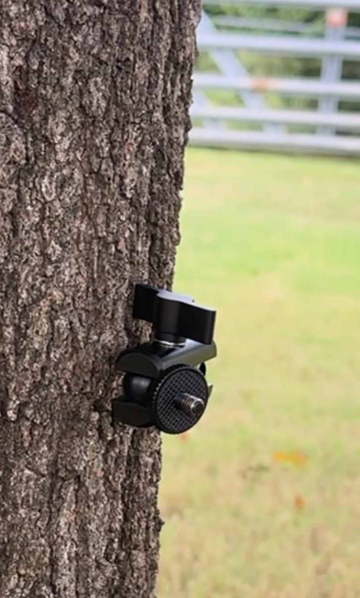 Trail Camera Tree Mount, No Straps or Rust | Tree Biter Pro