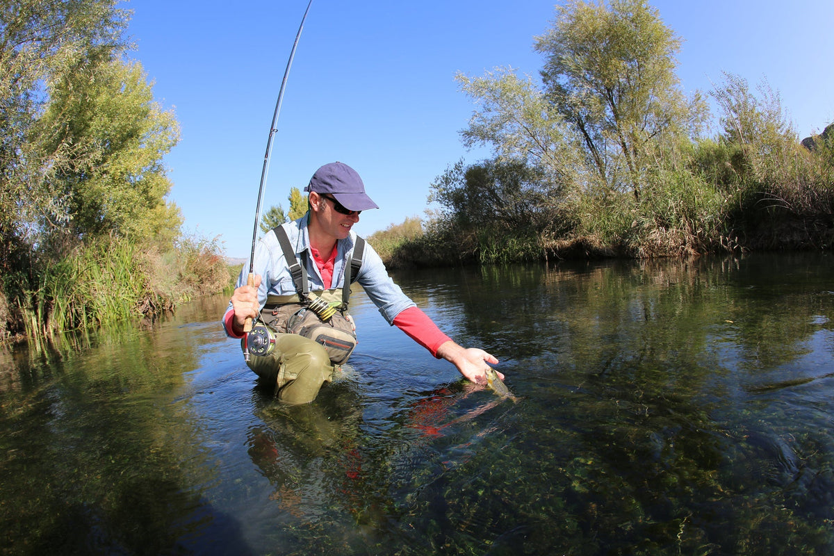 Goddard Caddis Dry Fly - 12 Flies Size 12