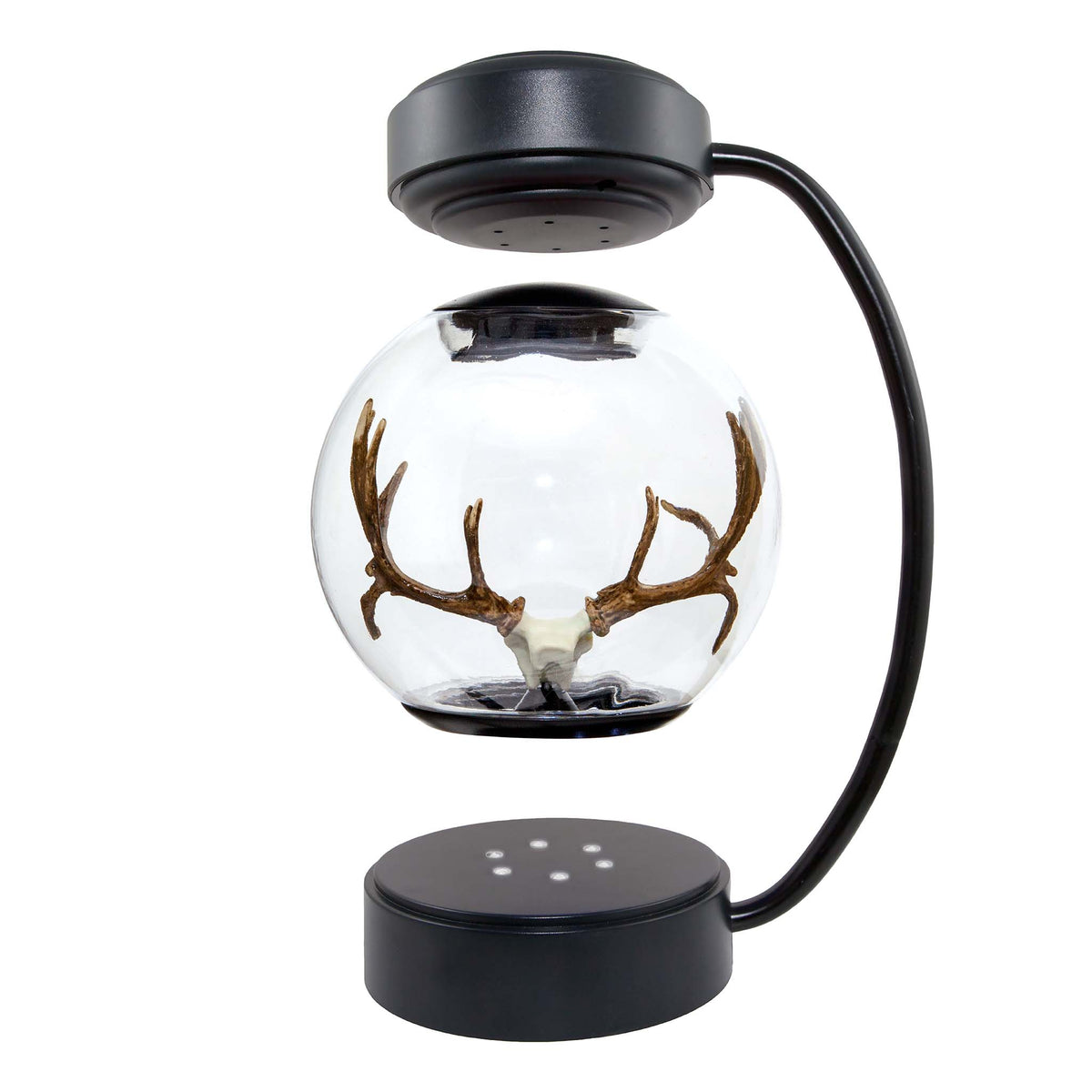 Floating Deer Antlers