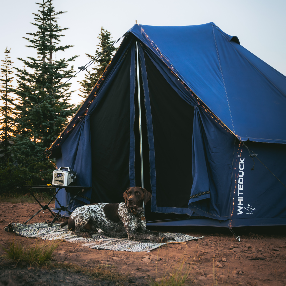 13' Regatta Bell Tent
