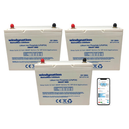 Lithium LIFePO4 100ah 12 Volt BattaMax 4000 Cycle Battery for Off-Grid Applications with Battery Management System (BMS) - RV, Cabin, Marine, Backup Storage Power