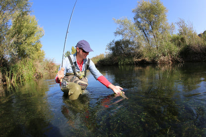 Goddard Caddis Dry Fly - 12 Flies Size 16