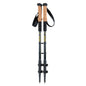 Carbon Trekking Poles Set