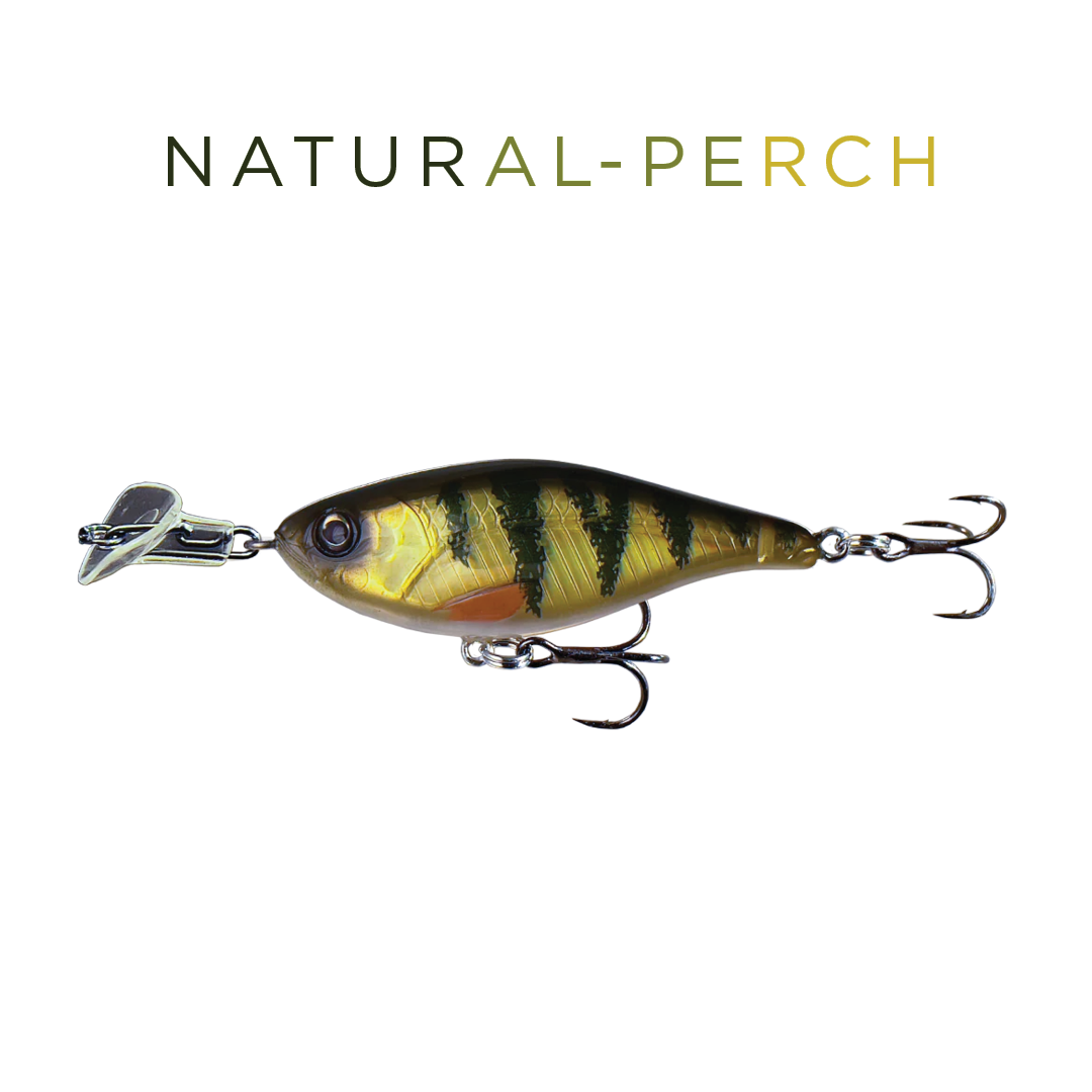 Headbanger Cranky Shad 4"