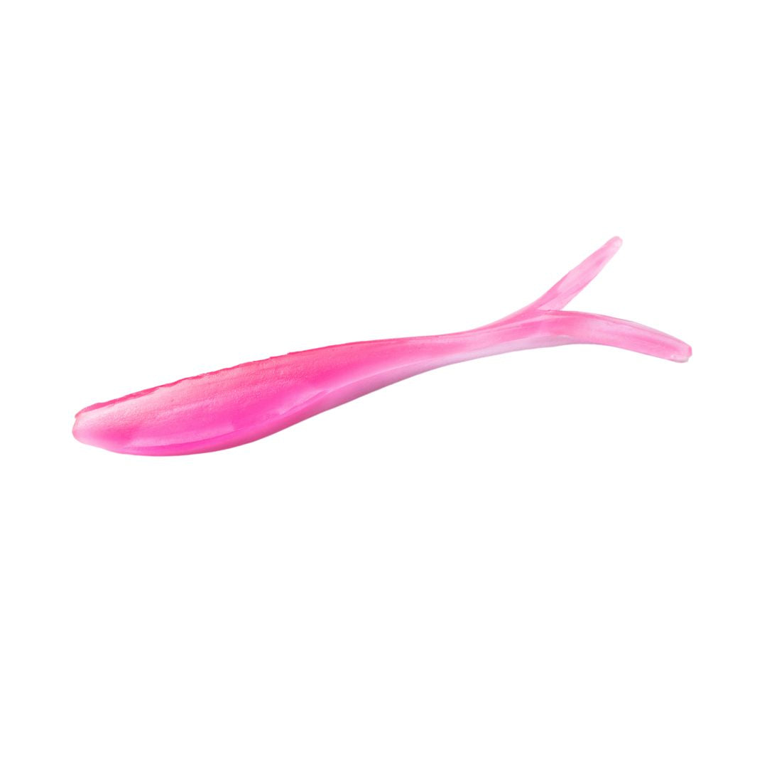 Barracuda