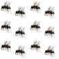 Griffiths Gnat Midge Trout Dry Fly - 12 Flies Size 22