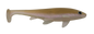 Weedless Executioner