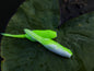 Froglet