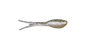 Wicked Shad
