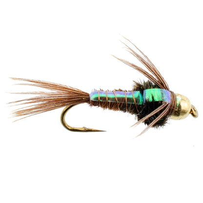 Tungsten Bead Head Flash Back Pheasant Tail Nymph 6 Flies Size 12