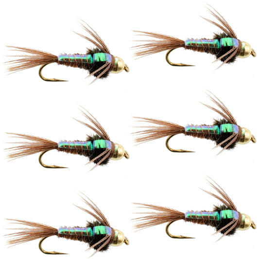 Tungsten Bead Head Flash Back Pheasant Tail Nymph 6 Flies Size 12