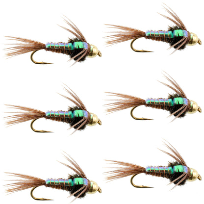 Tungsten Bead Head Flash Back Pheasant Tail Nymph 6 Flies Size 18