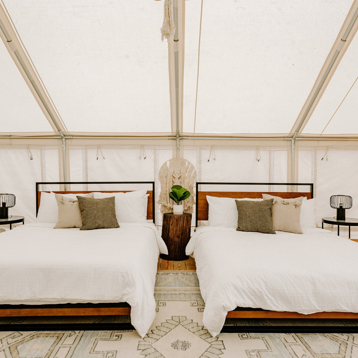 16'x20' Alpha Pro Wall Tent