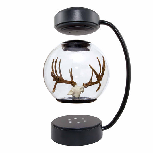 Floating Deer Antlers