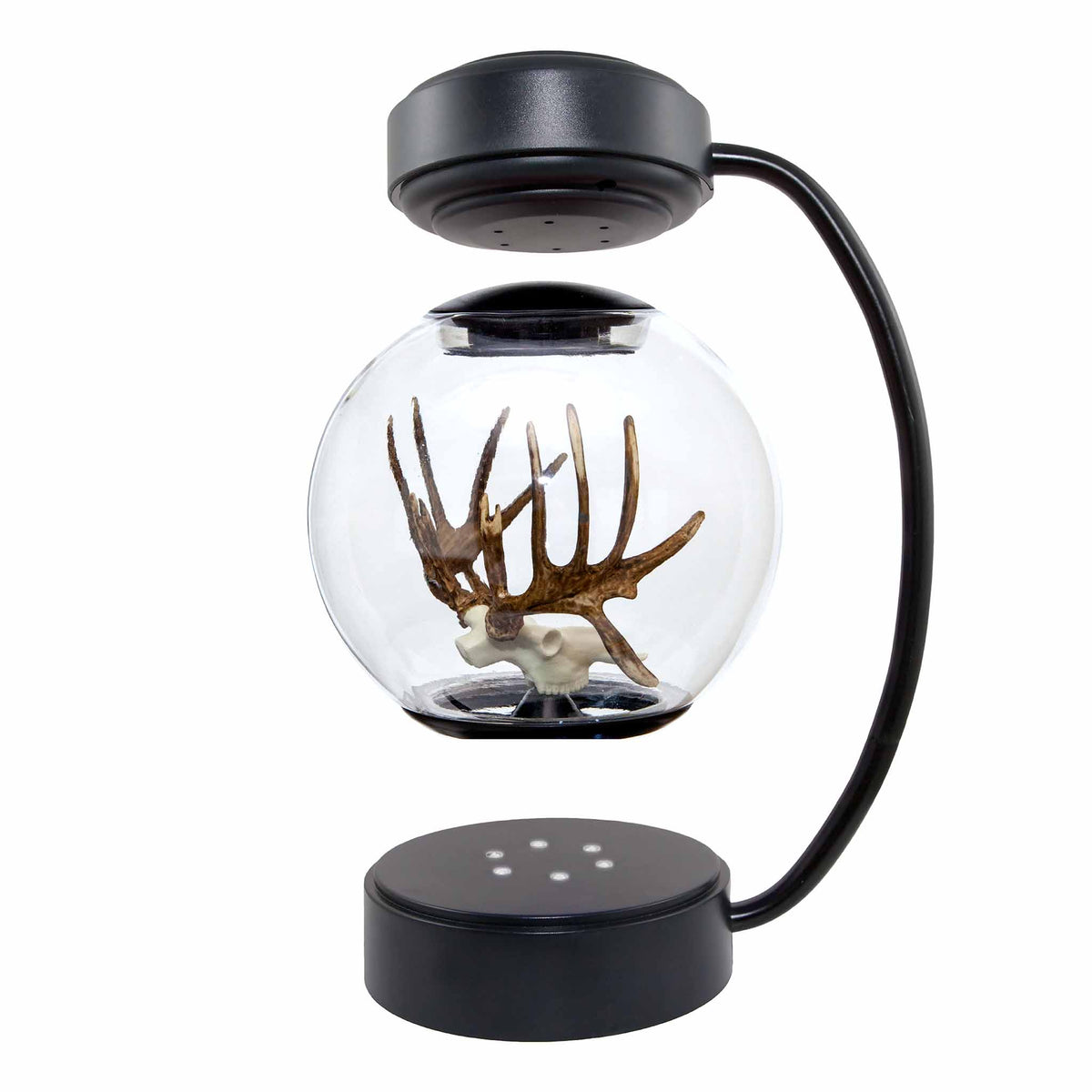 Floating Deer Antlers