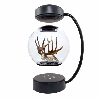 Floating Deer Antlers
