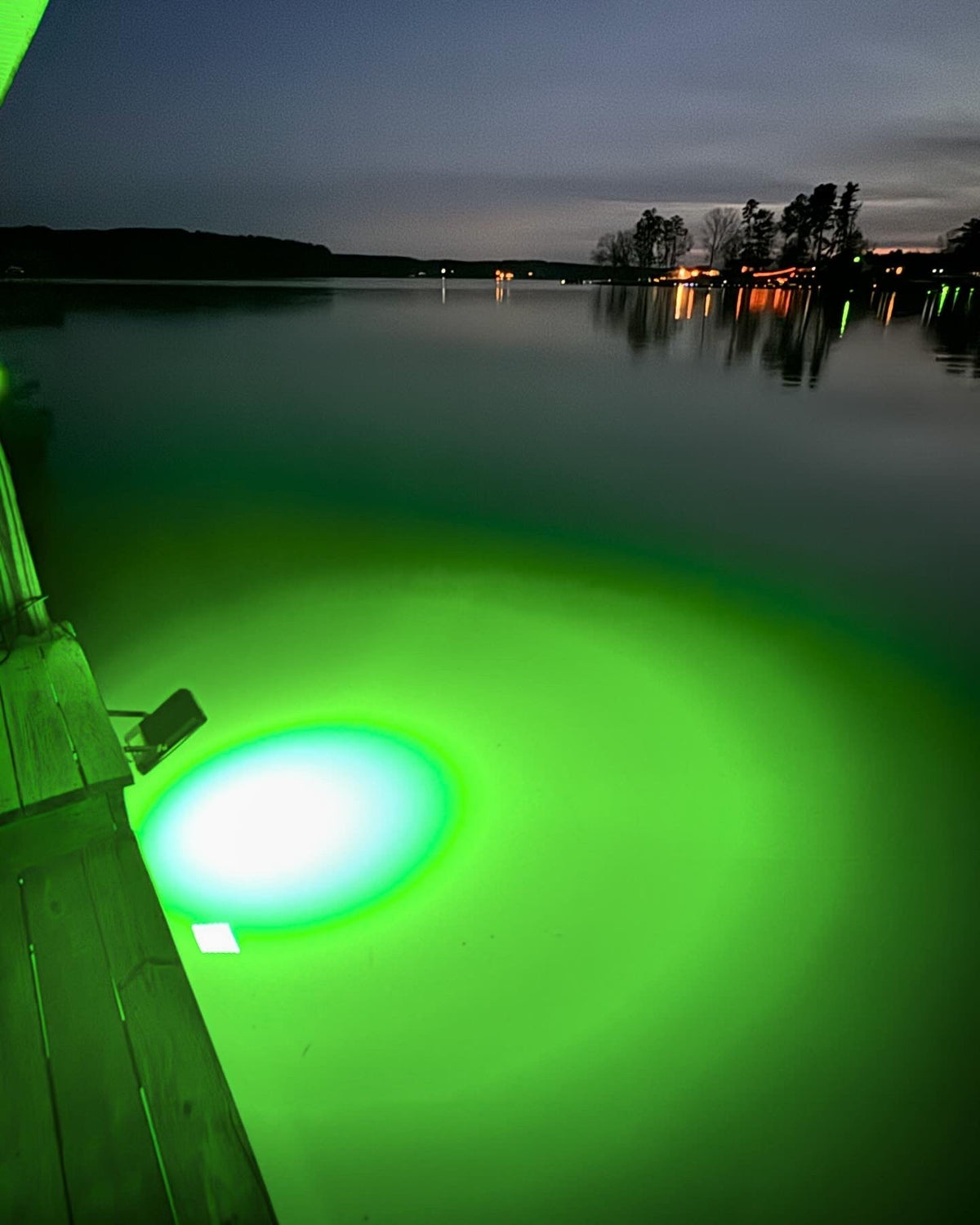 FL100G Above-Water LED Floodlight-Green