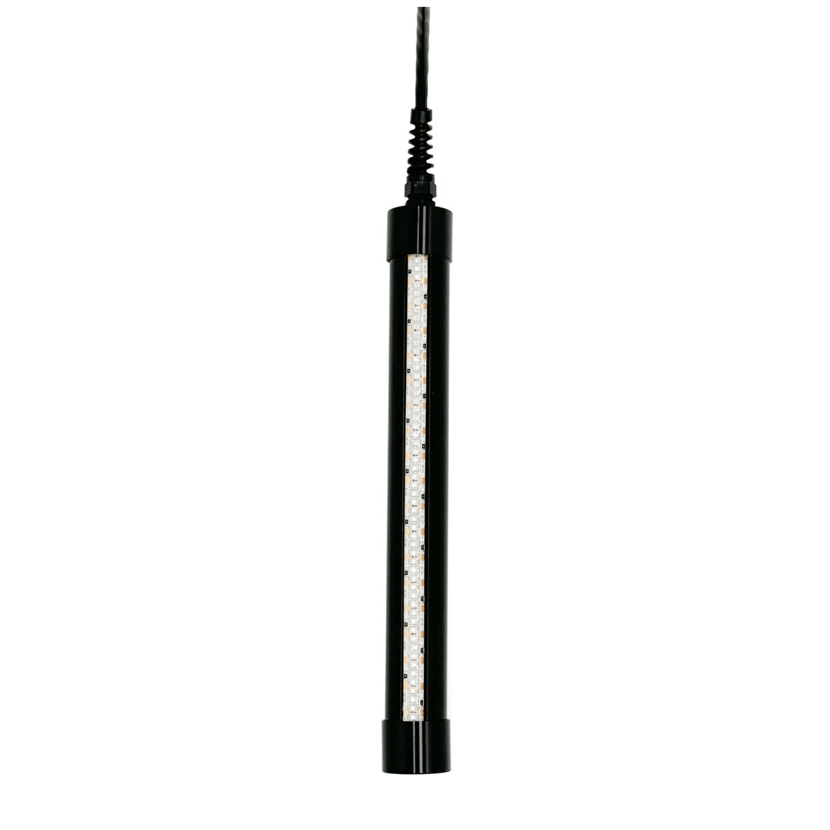 HG250G Underwater Fishing Light