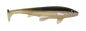 Weedless Executioner