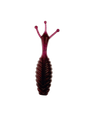 The Thing - Soft Plastic Creature Bait for Bass Fishing