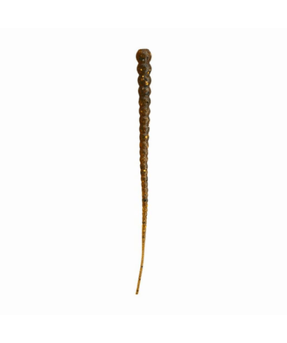 Whip Worm - Soft Plastic Worm with Whip-Like Tail for Bass Fishing